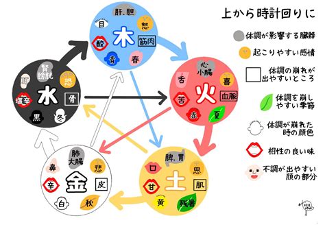 五行 健康|陰陽五行説と東洋医学の関係を解説！体質改善や美容。